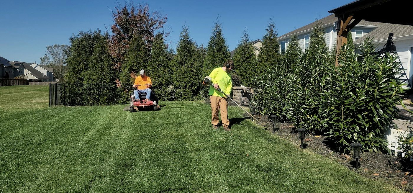 A lawn crew mowing and edging a yard